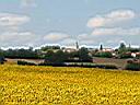 Paysage de coteaux gascons